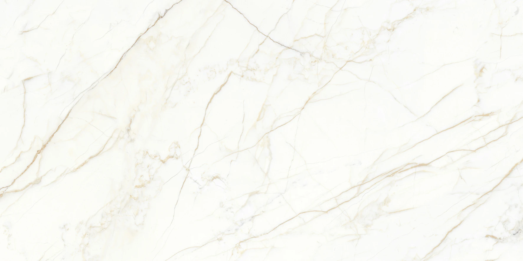 Europa Gold l Керамогранит белый 60x120 Матовый Карвинг