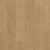 AVSPT40278 Дуб Пряничный