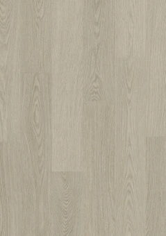AVSPT40280  Дуб чиа