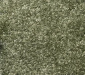 Atos 10578 Green