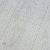 Сосна Снежная