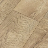 Сосна Княжеская