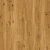 CXCL40192 Дуб яркий теплый натуральный