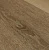 8805  Дуб рустикальный