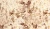 Parantez 4071 Brown