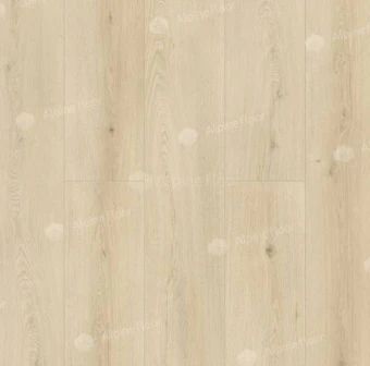 ГРАНД СЕКВОЙЯ КИПАРИСОВАЯ ECO 11-26