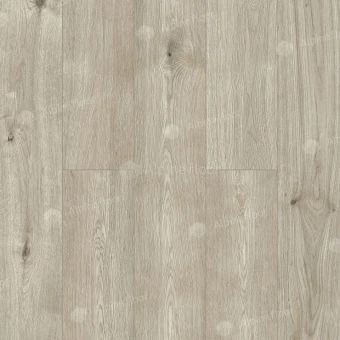 Дуб Амстердам LF103-02