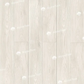 ECO 11-207 Атланта