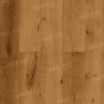 LF302-13 Дуб Помона