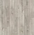 CSPC20297 Дуб северный темно-серый