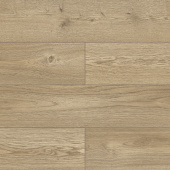 50927 Дуб Мориссен