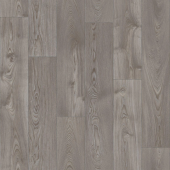 ФАВОРИТ CARTER 1;  CARTER 4