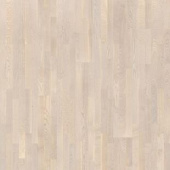 Дуб Ханаског 3-полосный