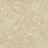 GLADIATOR ADALIA 1;  ADALIA 2