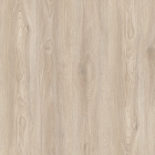 IMU 8472  Дуб Рассветный