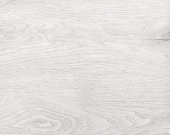 3909 Дуб Элькар