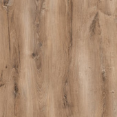  SF60 Дуб Берлин