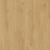 MJ 3546 Дуб лесной массив натуральный