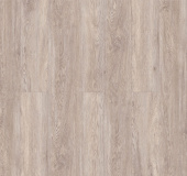 Дуб Гарднер