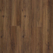  FP581 Дуб Батлер