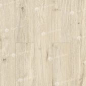 LF101-02 Дуб Салерно