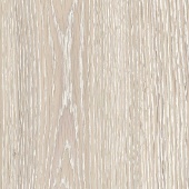 FP09 Дуб Онтарио