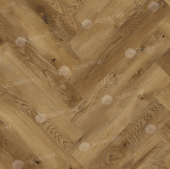 63270 Дуб Таррагона