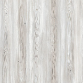 7051 Сосна Арктическая