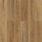 Дуб Робуста 