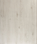 7061 Дуб Анвер