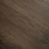 4208 Дуб Старинный