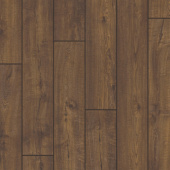 IMU 1851 Дуб деревенский