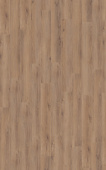 D80622 Дуб Норфолк бронзовый