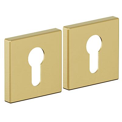 AS-3CL (цвет SGold)