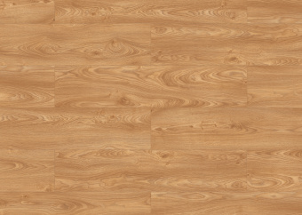 Дуб Атлас FSC 56602