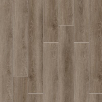 Дуб Чаннел 2008