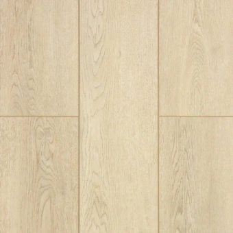 Дуб Амберный