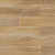2203 Дуб искристый