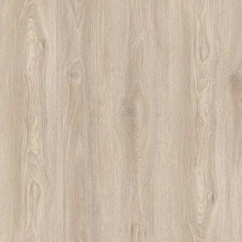 IM8472 Дуб Рассветный