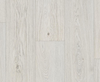 BLA004 Дуб Зигфрид