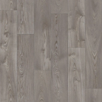 ФАВОРИТ CARTER 1;  CARTER 4