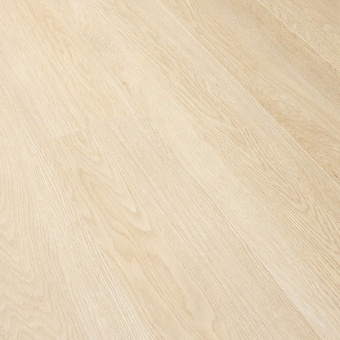 CXI146 Дуб марципановый