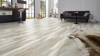 4754 Дуб Хелла