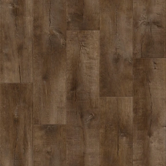 GLADIATOR SARATOGA 1; SARATOGA 3