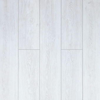 161110 Дуб Санти