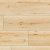 55044 Дуб Crotone