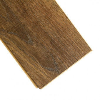 CXI152 Дуб Марокканский