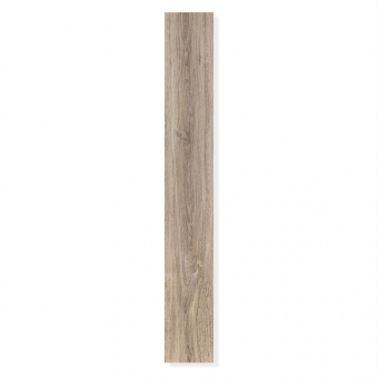 2202 Дуб воздушный