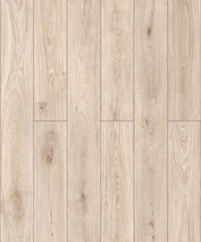 50867 Дуб Лаудер