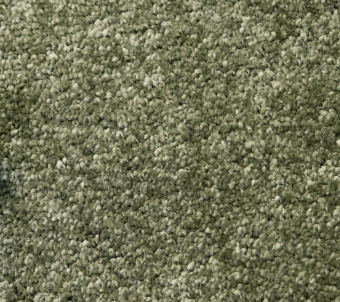 Atos 10578 Green